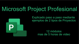 Curso Microsoft Project
