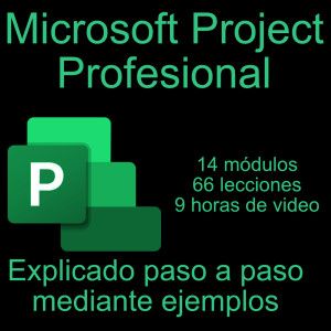 curso microsoft project