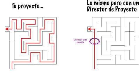 Necesitas un Director de Proyecto
